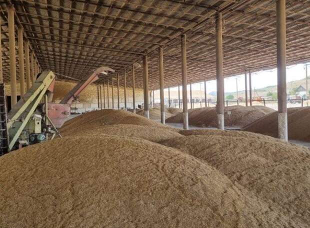 «Экспорт растёт»: крымская сельхозпродукция тайно вышла на азиатские рынки