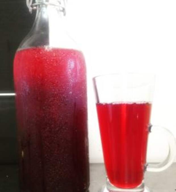 Ароматная наливка из калины в домашних условиях: простой рецепт