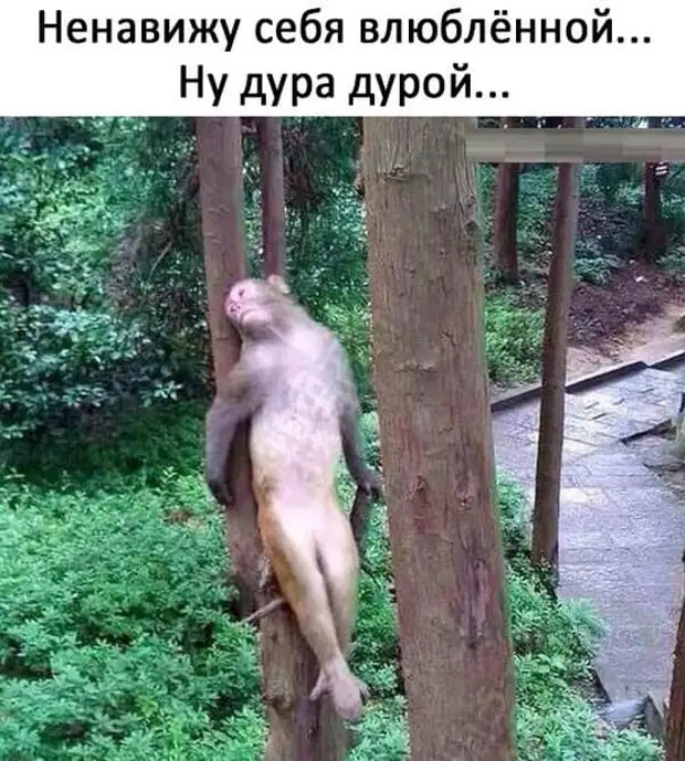 Он: - Дорогая, мы женаты 10 лет, и ты бываешь нежна со мной только тогда...