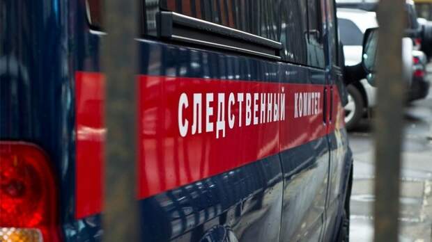 Жительница Павловского Посада планировала убить собственного сына
