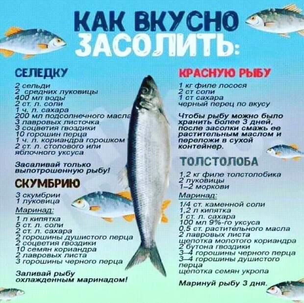 25 офигенных шпаргалок для тех, кто не любит копаться в поваренных книгах 25 офигенных шпаргалок для тех, кто не любит копаться в поваренных книгах