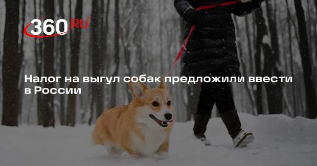 Общественник Попов предложил ввести в России налог на выгул собак