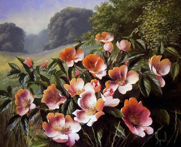 Цветы художницы Mary Dipnall (66 фото)