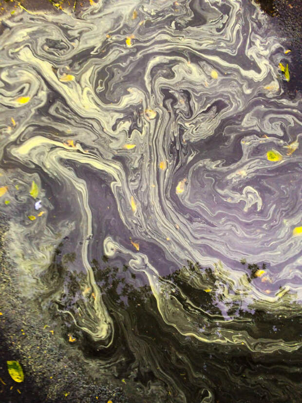 Природа без фотошопа 104