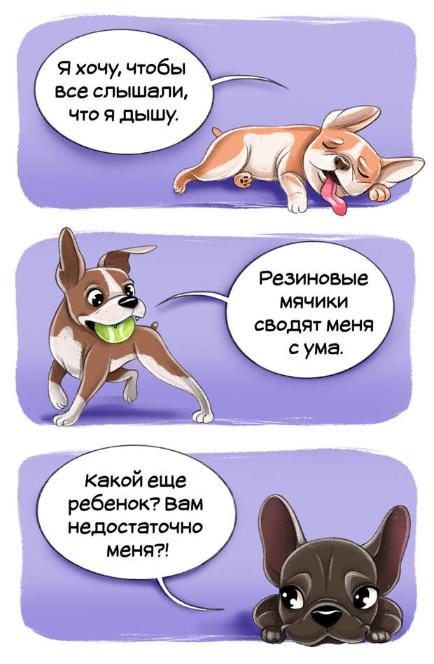 Честный гид по породам собак от первого лица (Часть 2-я)