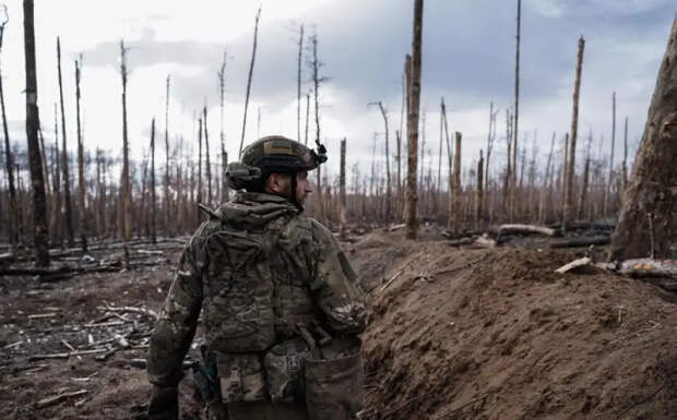 Немецкое СМИ: Конфликт на Украине может закончиться уже в текущем году, несколько лет он не продлится
