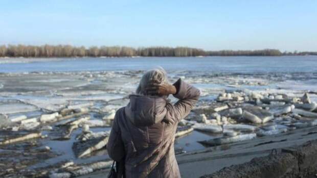 До +17 градусов. Какая погода ждет Алтайский край 9 апреля