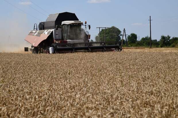 Адыгея собрала урожай с 97% посевных площадей озимых культур