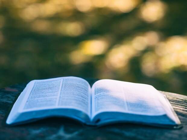 Пятно, Книги, Боке, Колледж, Образования, Знаний