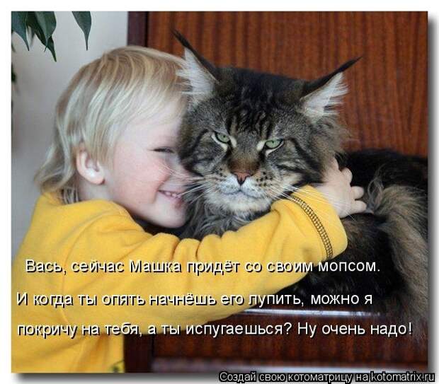 Котоматрицы