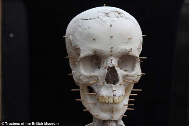 Восставший из мертвых: археологи воссоздали голову древнего человека в гипсе