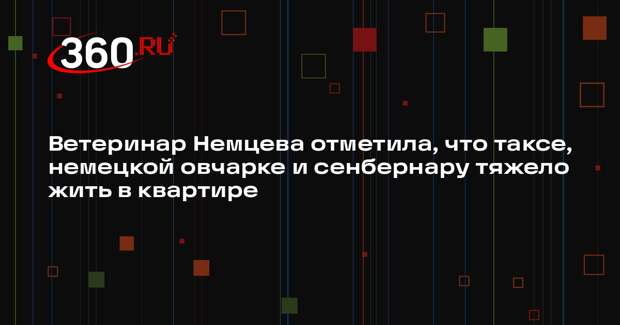Ветеринар Немцева отметила, что таксе, немецкой овчарке и сенбернару тяжело жить в квартире