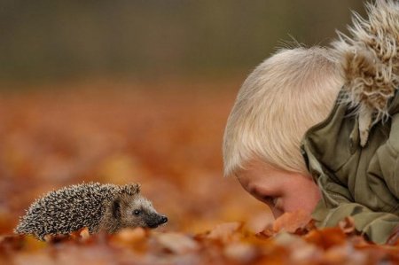 Эдвин Кац и его необычные фотографии животных