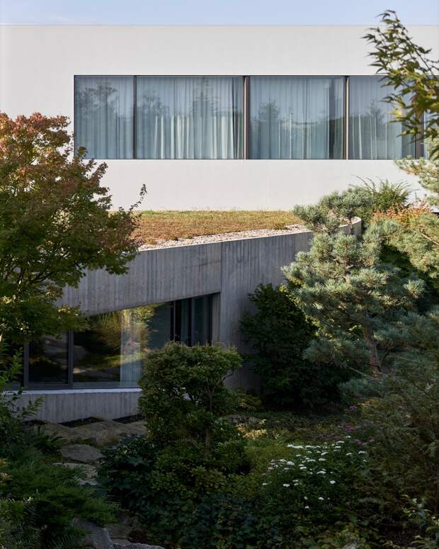 Современный дом с бассейном, садом и зелёной крышей в Польше