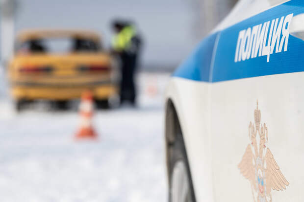 Очевидцы рассказали об обстоятельствах исчезновения девятилетней российской школьницы