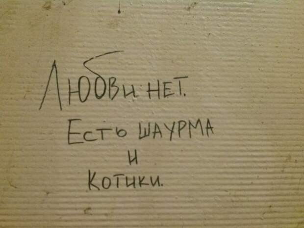 Прикольные картинки Прикольные картинки