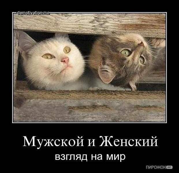 Ржачные демотиваторы для улыбки (12 фото)