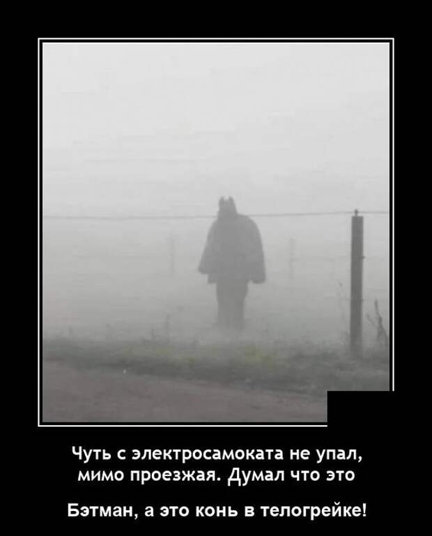 Демотиваторы 1 ноября 2021 года
