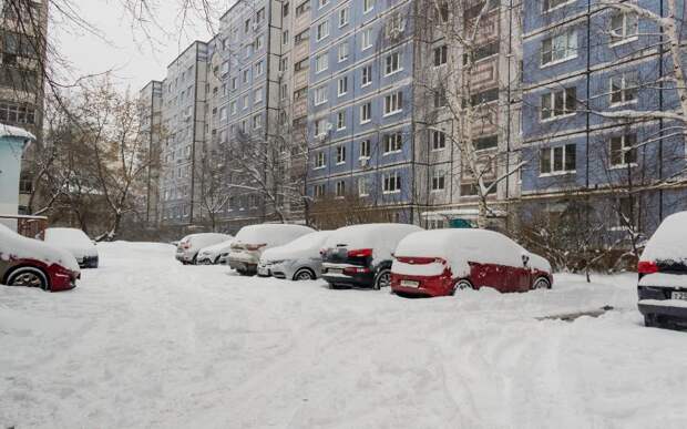 Последняя рабочая неделя в 2025 году начнётся со снегопада в Рязанской области