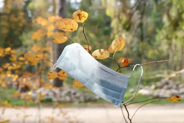 Клещи начали атаковать города: в Петербурге врачи лечат тех, кого укусили насекомые