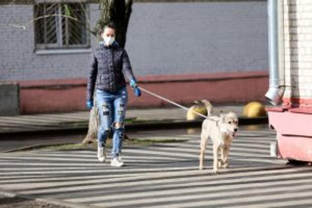 Более 12 тыс москвичей зарегистрировались волонтерами акции «Мы вместе». Фото: архив, «Вечерняя Москва»