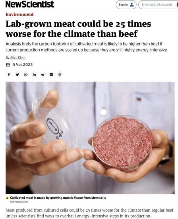 Выращенное в лаборатории мясо может быть в 25 раз вреднее для климата, чем говядина — New Scientist