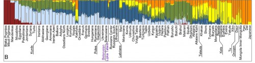 График ADMIXTURE – структура предковых компонентов у белорусских татар липок и других популяций (всего 81 популяция). Число предковых компонентов k=6. new-3