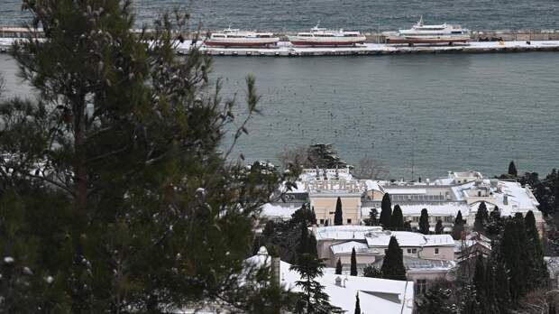 Немецкий политик изъявил желание переехать в Крым