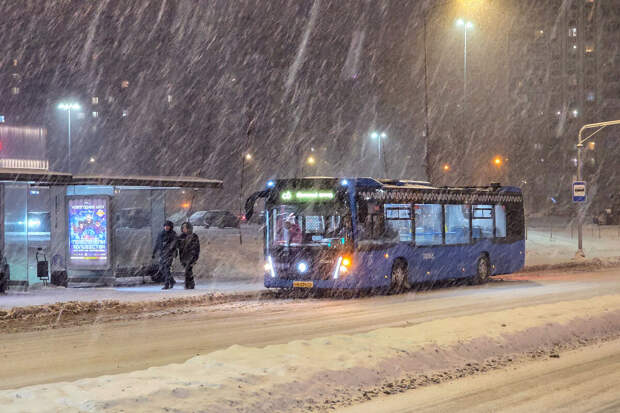 В Северодвинске женщина лишилась пальца после поездки на автобусе
