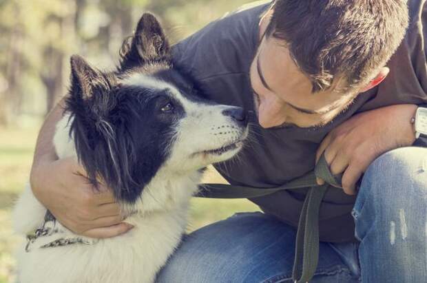 Собака-терапевт. Могут ли домашние животные лечить от болезней и депрессии?