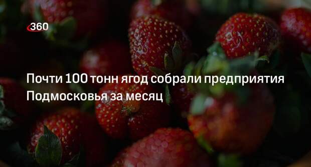 Почти 100 тонн ягод собрали предприятия Подмосковья за месяц