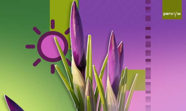 Гидрометцентр спрогнозировал мокрый снег и до +4 в Москве 28 апреля