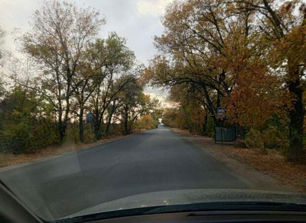 Платные дороги должны иметь аналогичную альтернативу: что является нарушением закона?