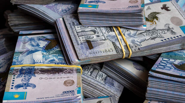 Блогеров из Астаны хотят посадить на 7 лет за растрату денег, собранных на сына