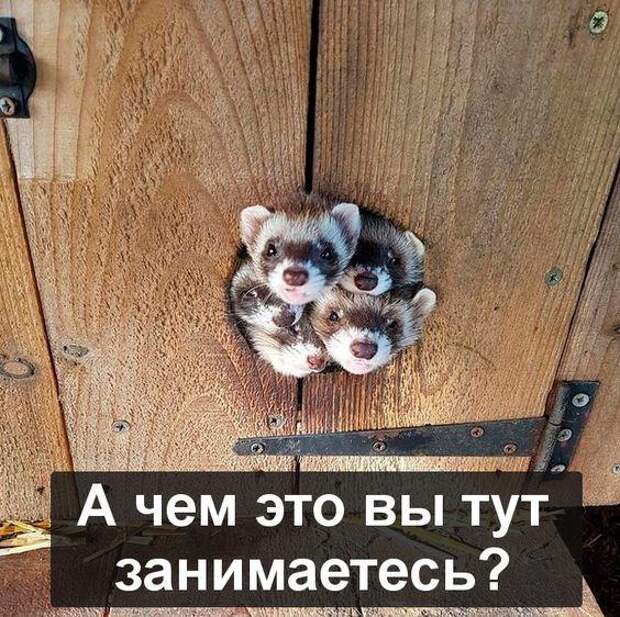 Свежие картинки с надписями этой пятницы