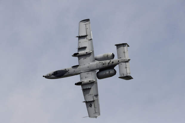 Американские «Бородавочники» назвали главным кошмаром ВМС Ирана