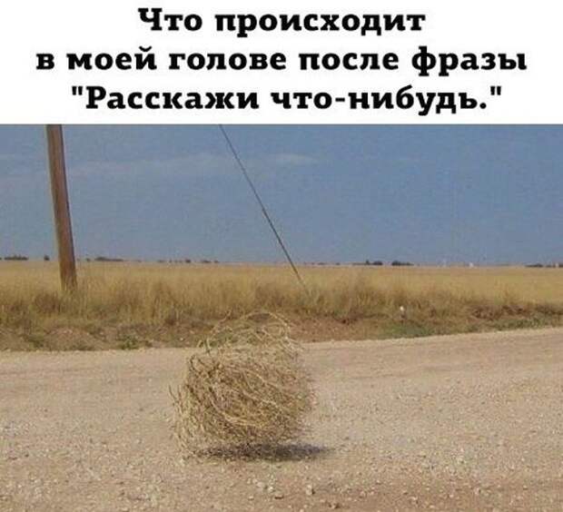 Веселые фото с надписями для хорошего настроения (11 фото) Веселые фото с надписями для хорошего настроения (11 фото)
