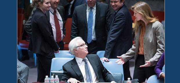 Россия и шакалы: давишь в Сирии - визжат в Совбезе ООН