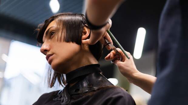 Российский парикмахер пожаловался на сравнение клиентки с героем «Шрека» после его стрижки