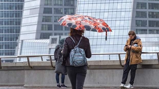Синоптики спрогнозировали небольшой дождь и до +7 градусов в Москве 10 ноября