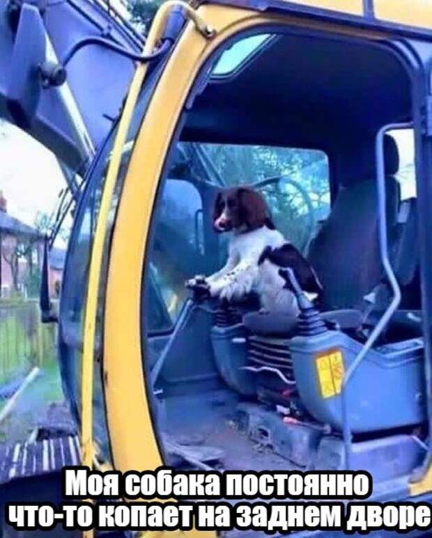Прикольные картинки абавсём:D