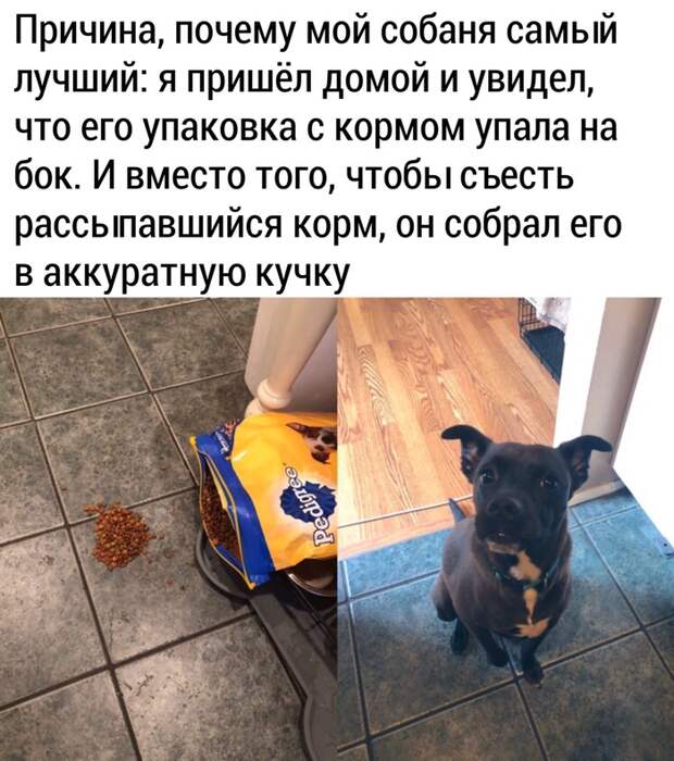 Аккуратный мальчик