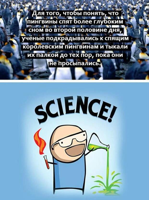 V9cU8HWXYSk