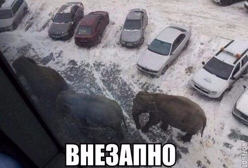 Новые прикольные фотомемы (28 шт)