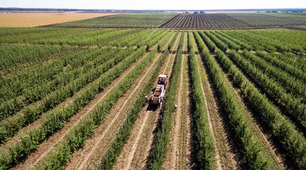 «Лицемерие и политизация»: в России отреагировали на создание в Раде объединения по «возвращению» Кубани