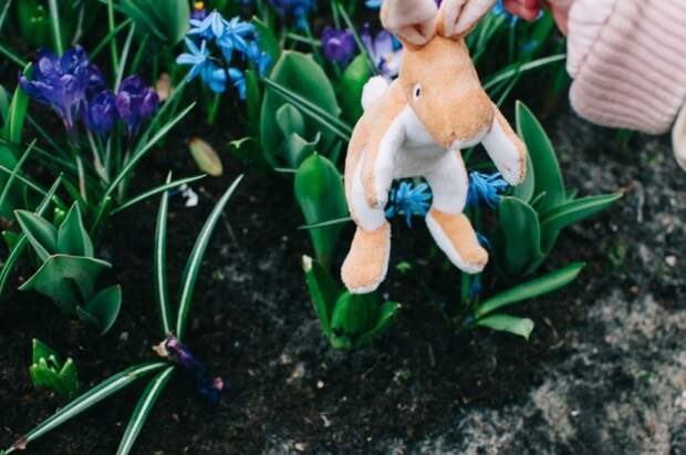 Парк цветов Keukenhof, апрель 2018 путешествия, факты, фото