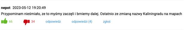 Скриншот © wiadomosci.dziennik.pl