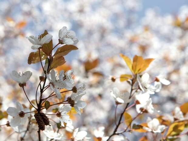 Похолодает: Смоленск готовится к сезону дождей