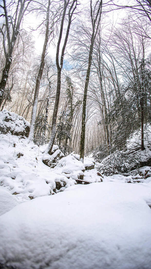Доброе утро! И хорошего дня!