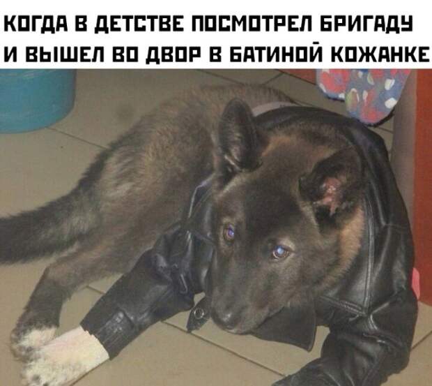 Смешные картинки вечер 9 июня 2021
